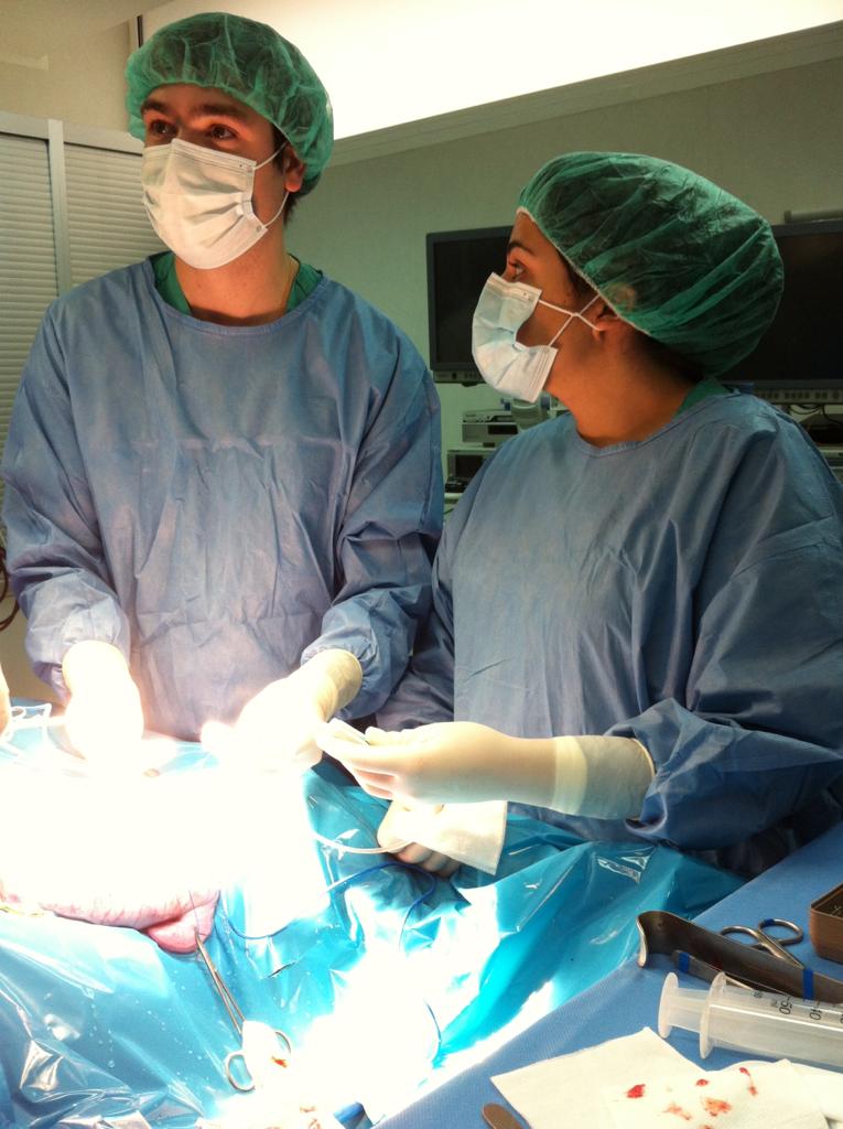 Cirugía Fetal